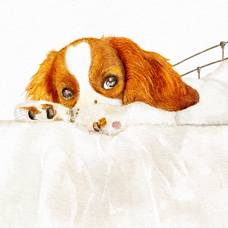 watercolor pet portrait