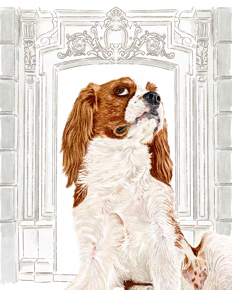 watercolor pet portrait of a cavalier king charles spaniel